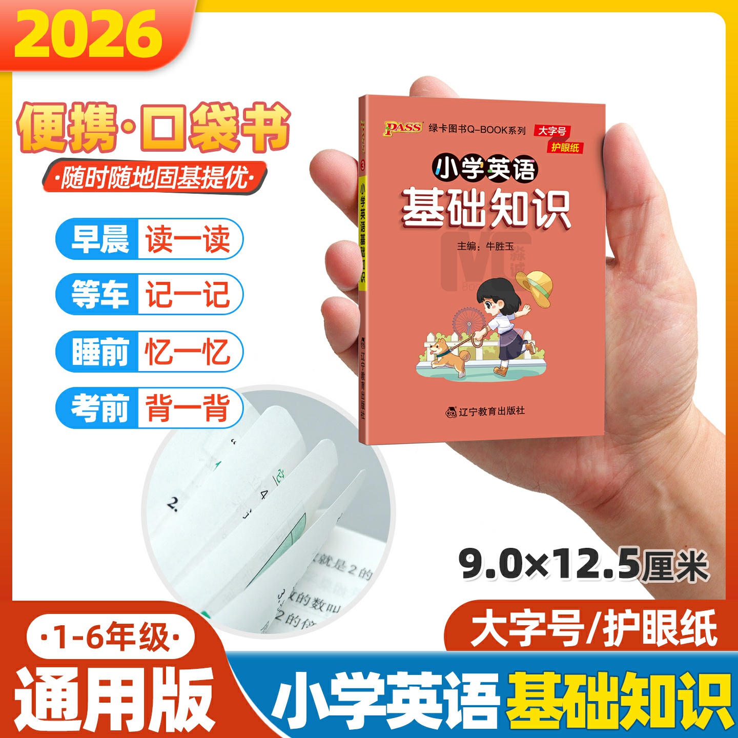 大字号小学英语基础知识口袋书