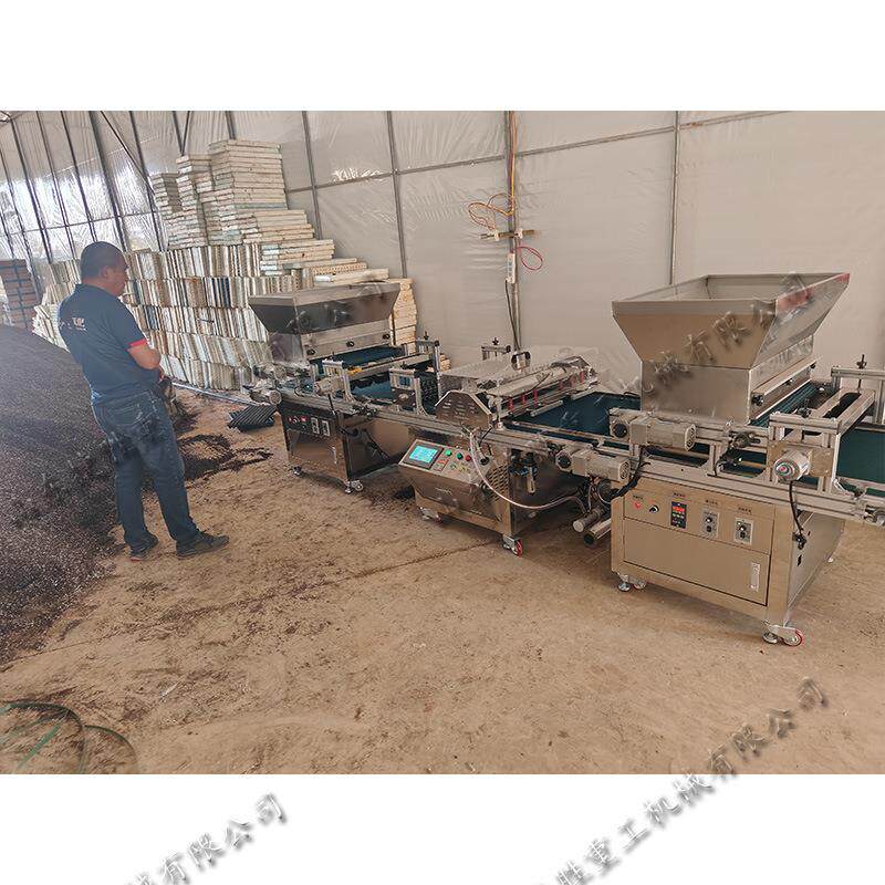 滚筒式穴盘育苗播覆种JZO机刮平播种土浇 水一体生机 蔬菜育苗产