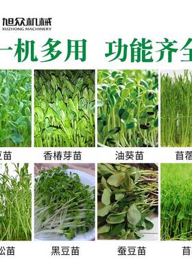 型全自浆动豆芽机商用豆机小厂培育花生绿豆芽多功能KYP芽苗家直