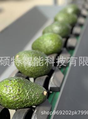 石榴量选机 分秋月重梨自动称重分级机 柑RXA橘分选 选果机机