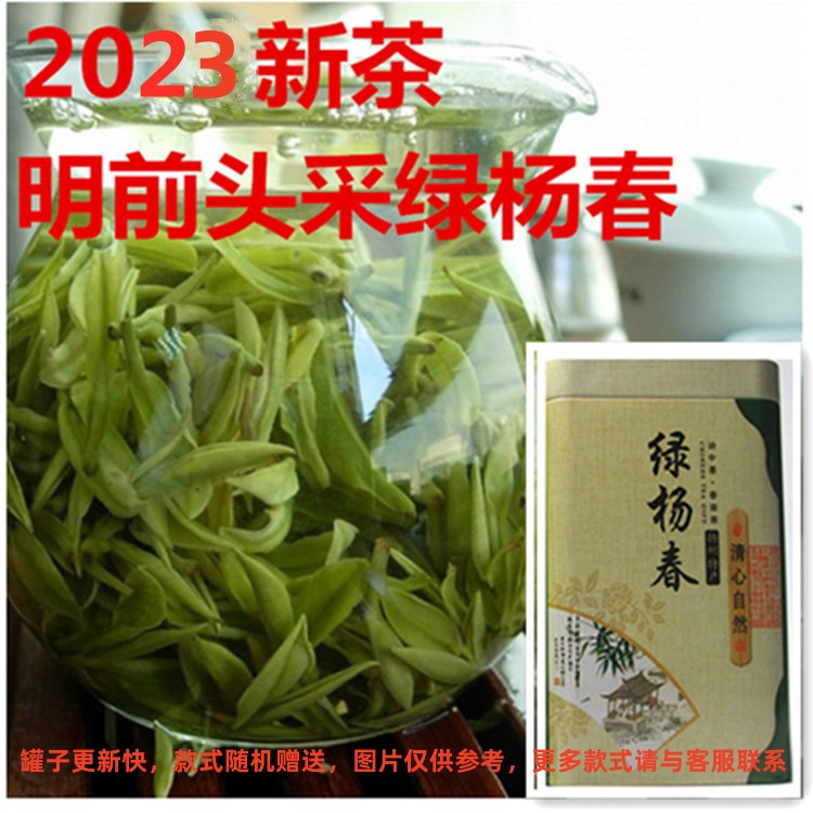 2023新茶 明前 绿杨春头采一芽一叶 捺山绿茶礼 盒250g