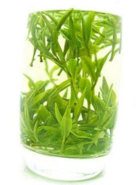 2025新茶 仪征捺山绿杨春 阳扬春绿茶250g