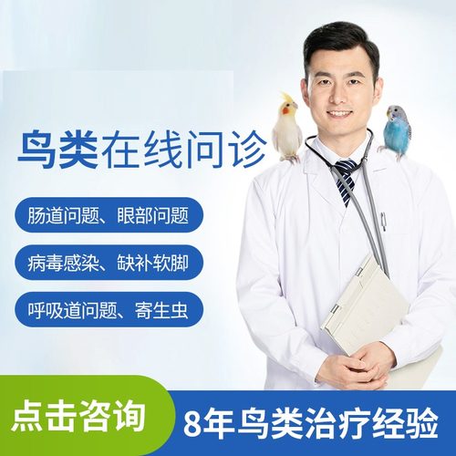 各种鸟类问诊医生资深专业经验会诊生病鹦鹉玄凤大夫在线咨询治疗