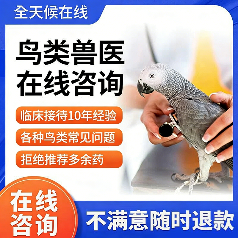 鹦鹉问诊鸟医生在线诊疗中心咨询异宠治疗生病看病虎皮牡丹玄凤