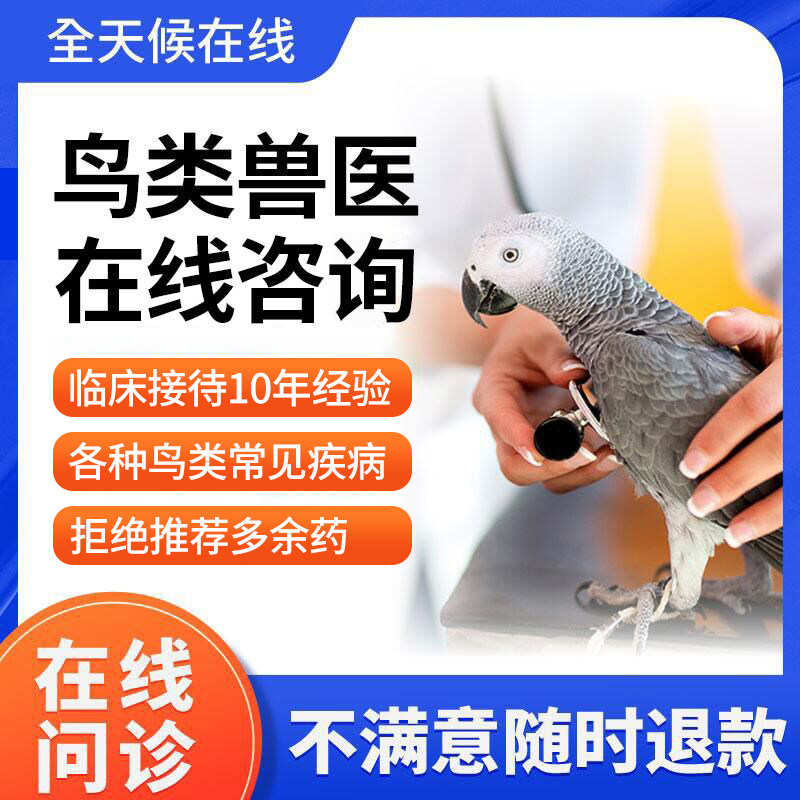 鹦鹉问诊鸟医生在线诊疗中心