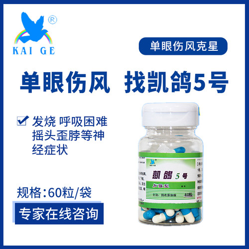 胶囊60粒单眼伤风五号衣原净鸽药