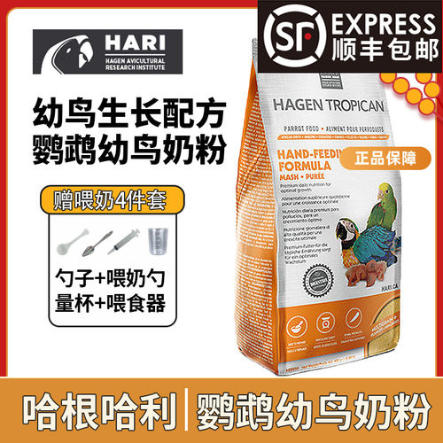 哈根哈利Hagen鹦鹉奶粉手养幼鸟