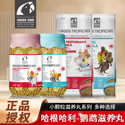 哈根哈利滋养丸中小型玄凤