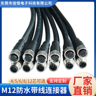 M12航空插头带线4芯5芯8芯12芯针孔防水传感器成型连接器PUR屏蔽