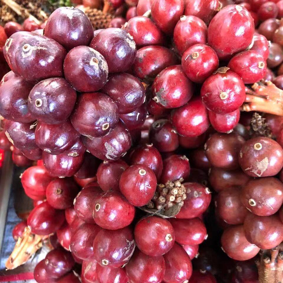 新鲜草果云南原产地野生草果新货临沧草果子调味料卤料炖鸡食用
