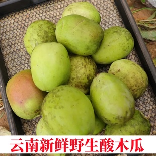 云南新鲜酸木瓜包邮临沧特产水果孕妇泡酒红花青黄青木瓜生吃