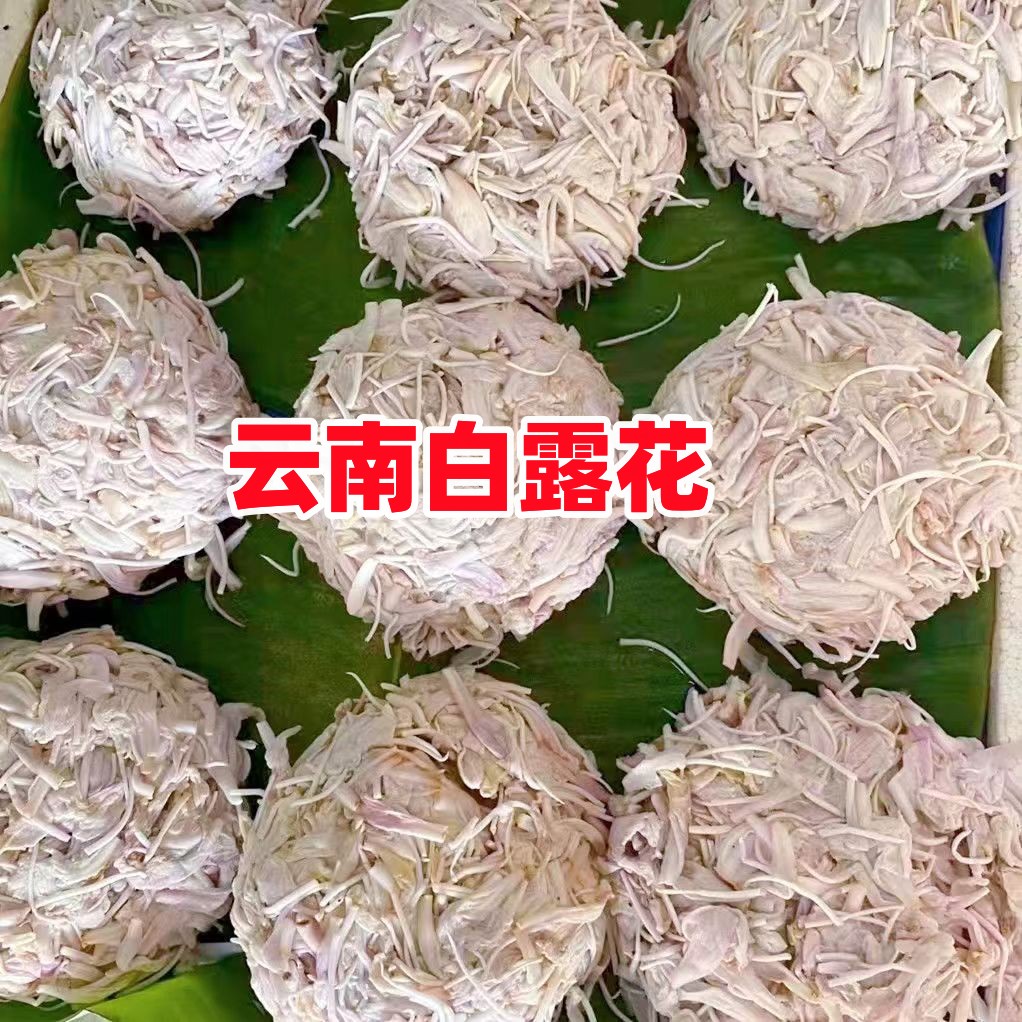 野生白露花云南特产大白花百花菜临沧耿马新鲜野菜农家焯水白鹭花