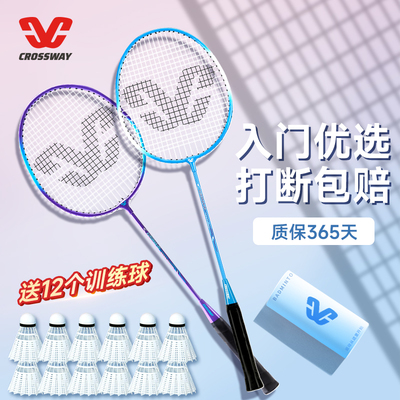 全碳素纤维羽毛球拍初学者套装