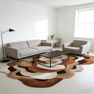 高级感老钱风客厅大平层地毯2025新款家用异形免洗可擦意式地毯