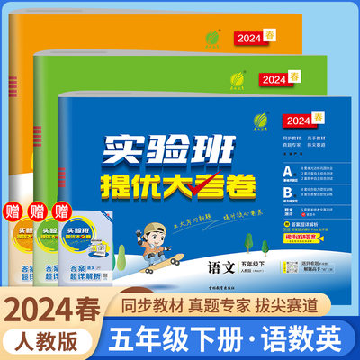 2024实验班提优大考卷小学五年级