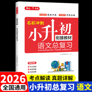 2026小升初语文衔接教材总复习人教版 小学基础知识强化专项训练文言文与阅读理解课外书必读正版的资料六年级下册必刷题真题卷
