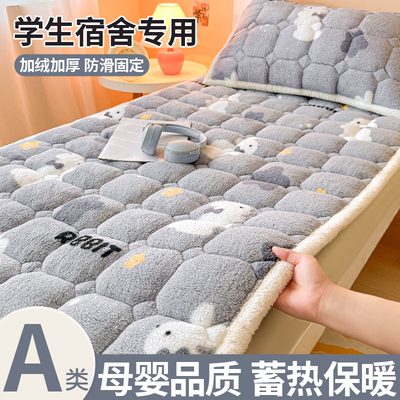 A类加厚牛奶绒泰迪绒床垫床褥