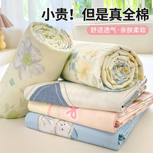 纯棉床笠床罩2025新款四季通用
