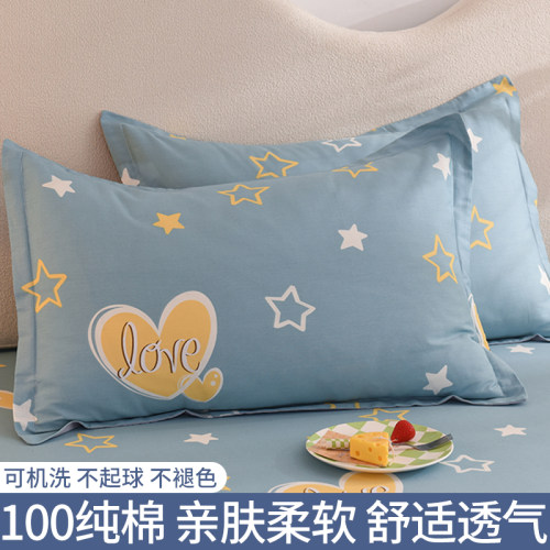 枕头套一对装纯棉100全棉枕芯套