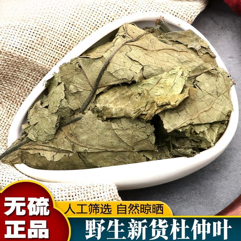 湖南张家界特产野生成叶杜仲茶 2026年新茶 嫩叶杜仲茶安神养生茶