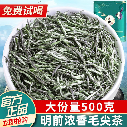 2025新茶-浓香毛尖茶叶500g