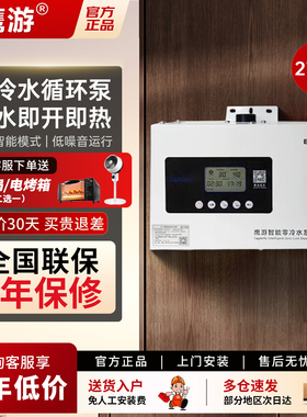 鹰游EY-120W全自动热水回水器零冷水循环泵恒温家用增压即热270W
