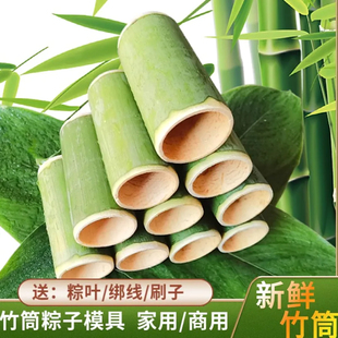 手工竹筒粽子模具纯天然家用商用摆摊专用竹筒糯米饭神器新鲜竹筒