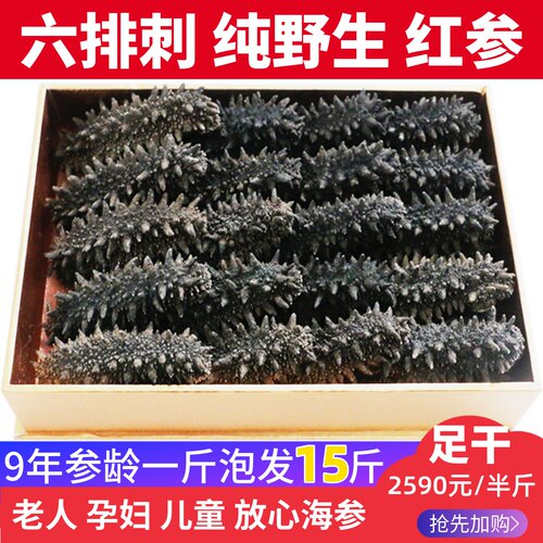 稀有9年俄罗斯纯野生海参