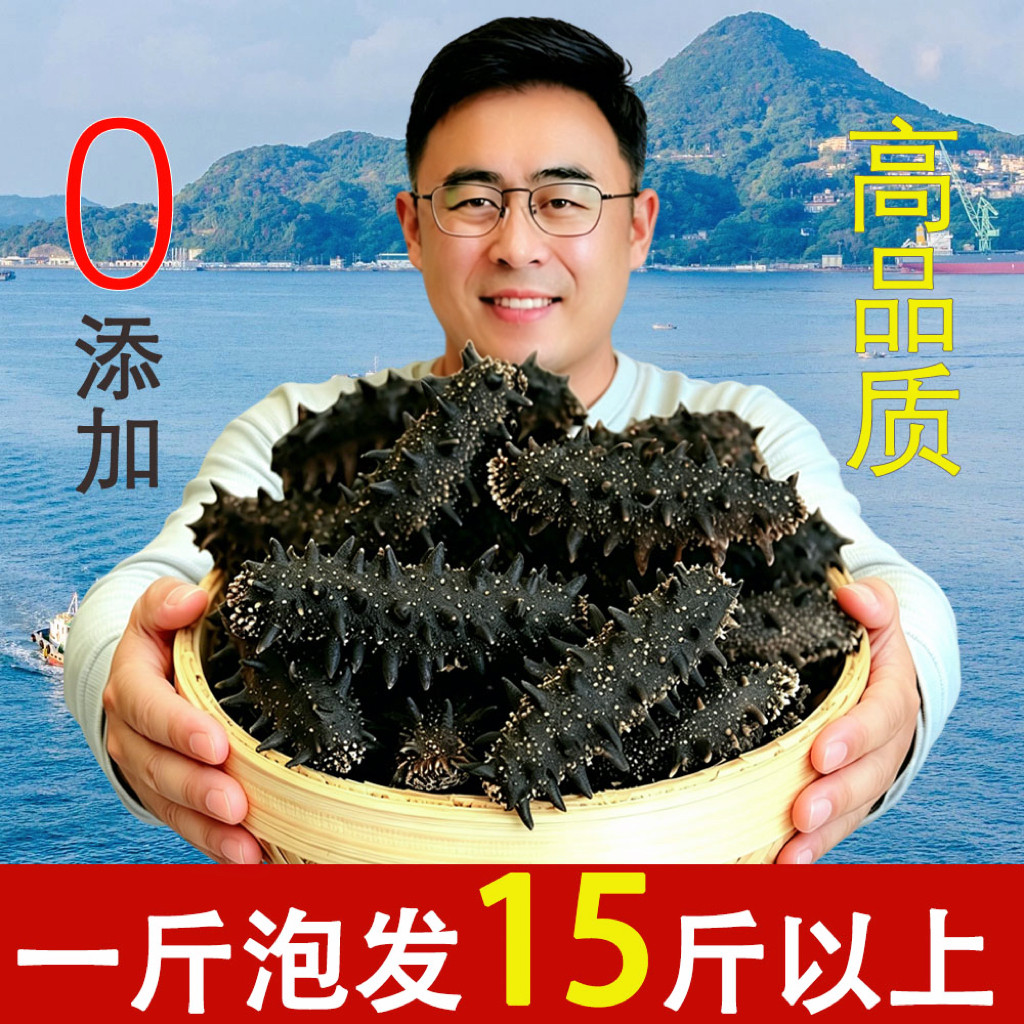 大连野生淡干海参干货250克拍2份500g特价鲜活即食孕妇辽刺参海生
