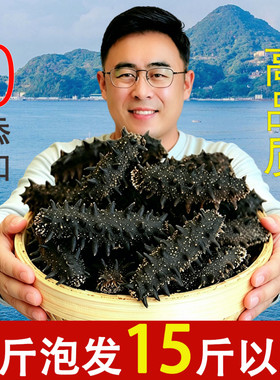 正宗辽宁大连野生海参干货