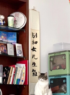 别和女儿生气卷轴禅意挂画手写毛笔字真迹立轴窄款长条形