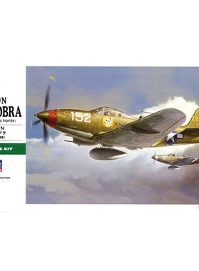 长谷川 09093/19193 P-39Q/N 空中眼镜蛇 AIRACOBRA 战机（1/48）