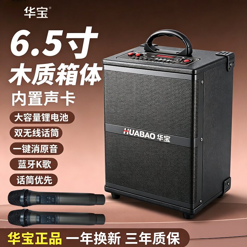 华宝D65户外K歌低音炮蓝牙音箱
