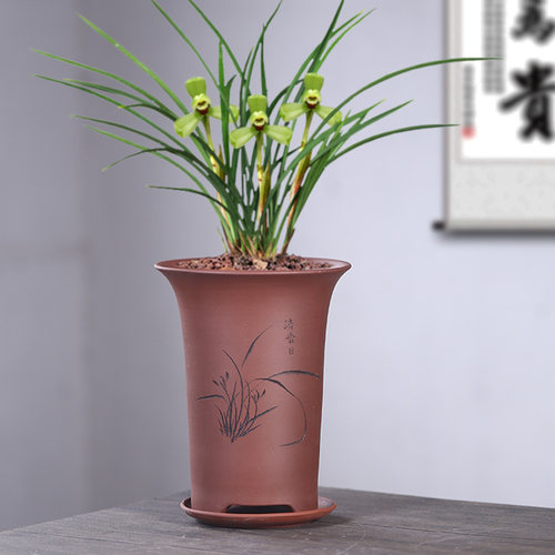 兰花盆陶瓷紫砂花盆专用盆