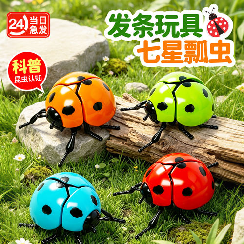 发条七星瓢虫早教玩具宝宝益智