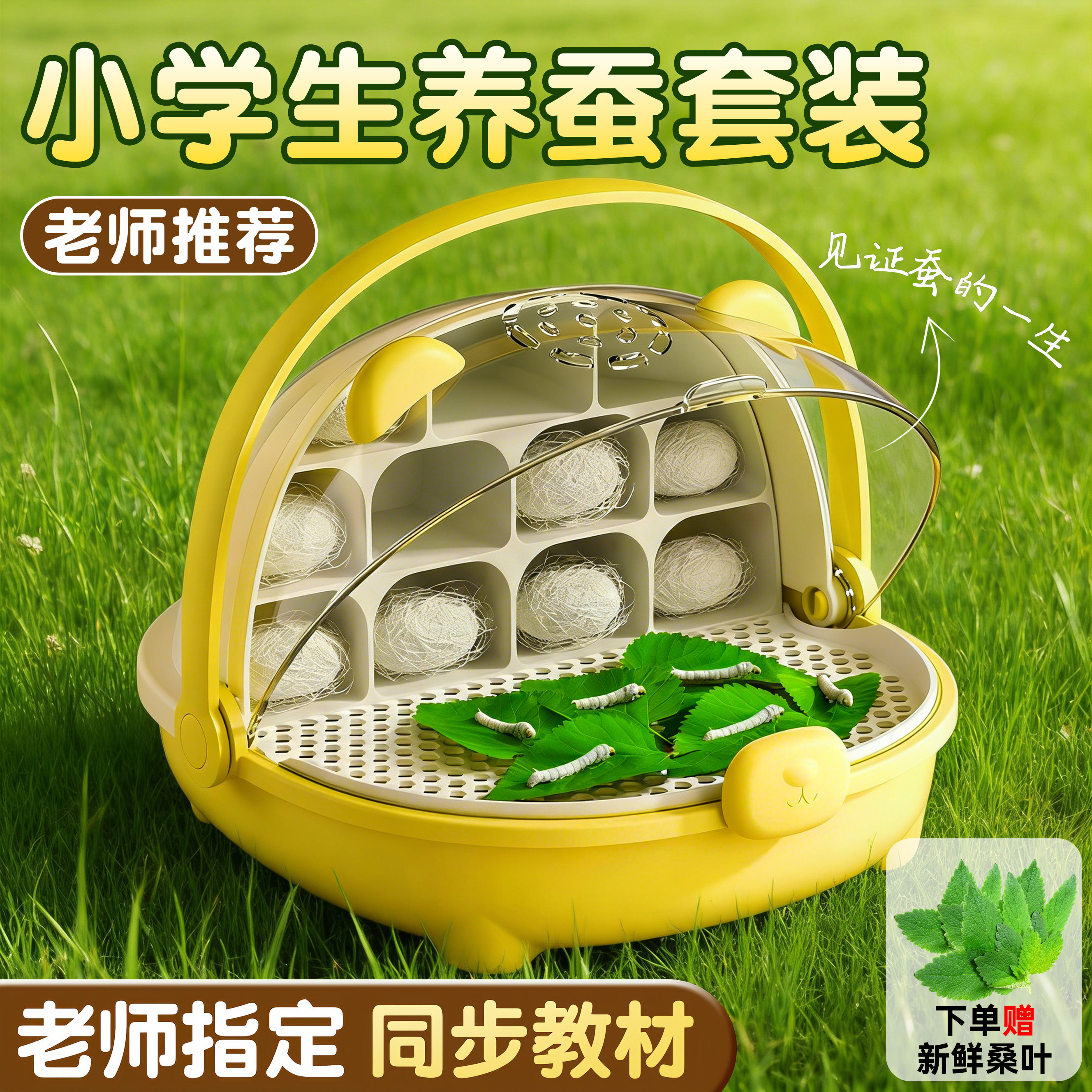 蚕宝宝学生养蚕套装儿童玩具小学生专用手工diy材料新鲜桑叶工具