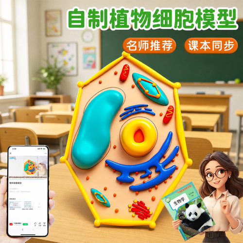 动植物细胞结构模型七年级上册生
