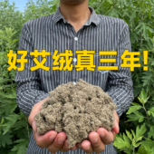 三年陈艾灸绒艾绒250g装 蕲春艾绒散装 纯手工石臼陈艾绒家用正品