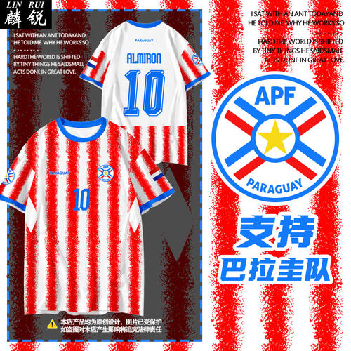 2026世界杯巴拉圭队球衣速干t恤