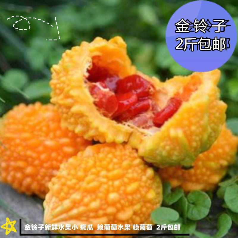 金铃子新鲜水果 癞瓜  赖葡萄水果 赖葡萄  3斤包邮