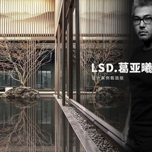 LSD.葛亚曦设计案例甄选版