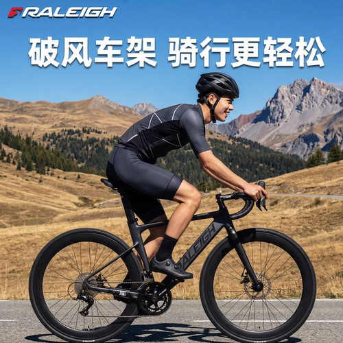 RALEIGH公路车一体把全内走线