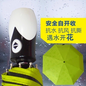 自动伞全自动雨伞女 创意遇水开花伞变色雨伞 超强防晒黑胶遮阳伞