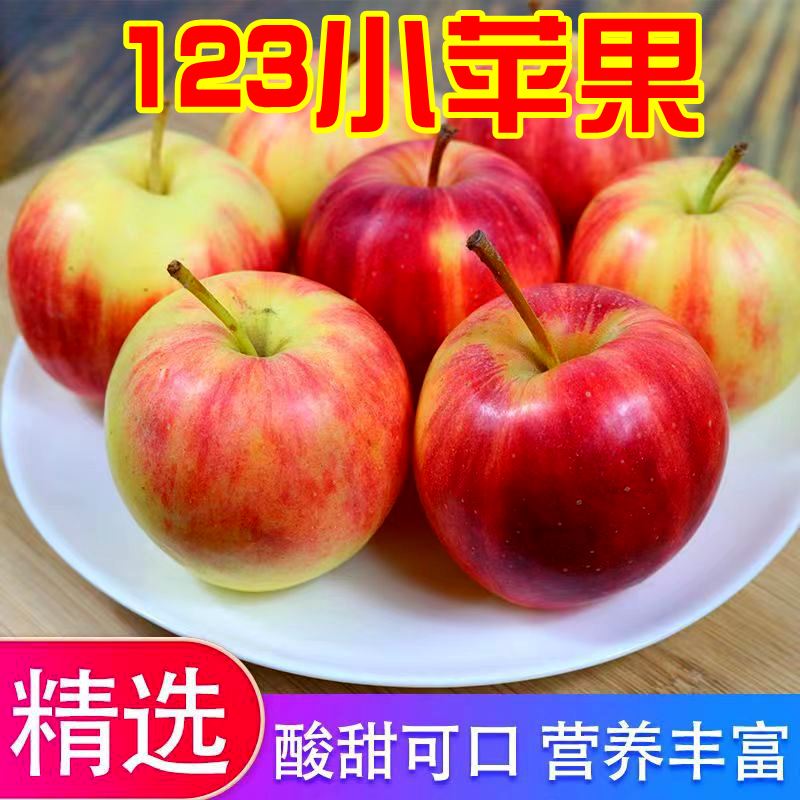 东北吉林123小苹果脆甜爽口现摘