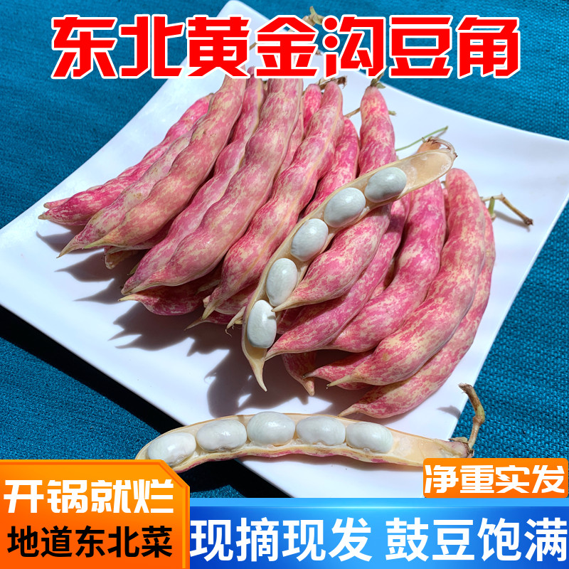 东北新鲜黄金勾豆角沟钩黄蔬菜