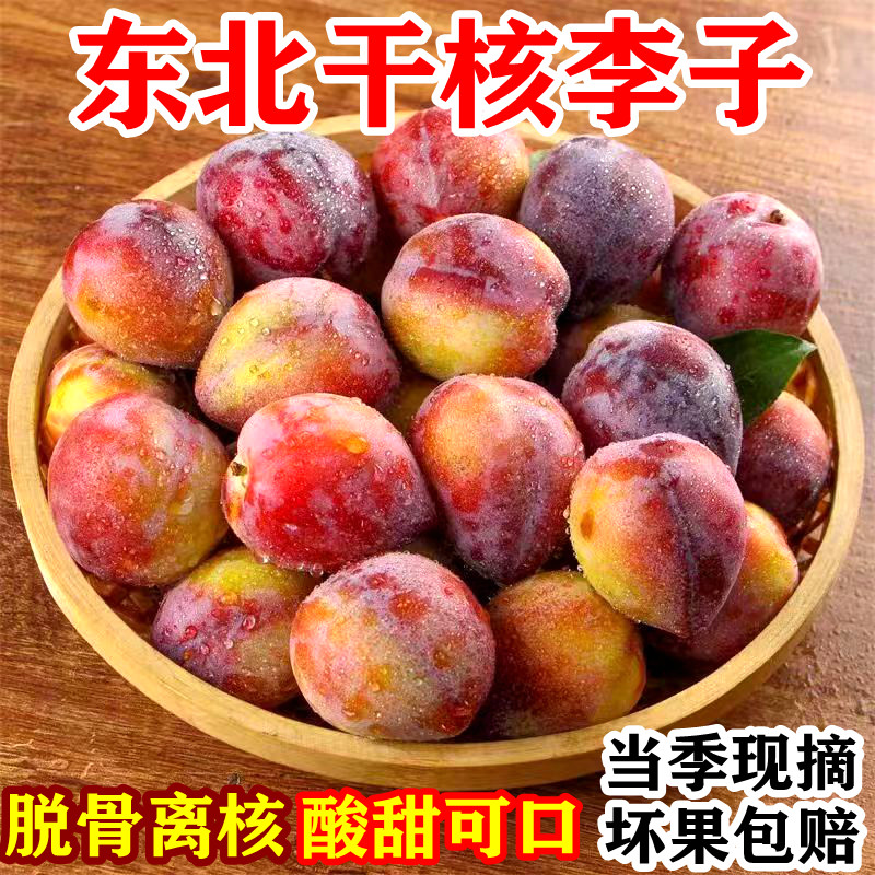 东北桃李子干碗离核脱骨吉盛李现摘应季鸡心李牛心李新鲜水果包邮