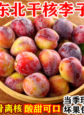 吉盛李子东北特产干核脱骨酸甜