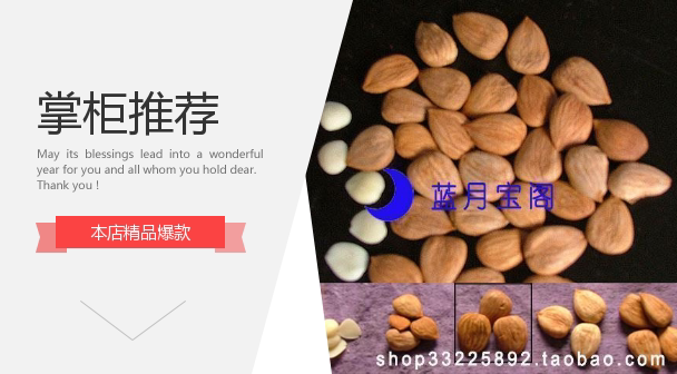 2024年新野生尚品甜杏仁王~露露产地优质龙王帽大扁杏仁