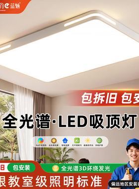 客厅吸顶灯现代简约大灯客厅主灯2025新款房间led灯具大全中山