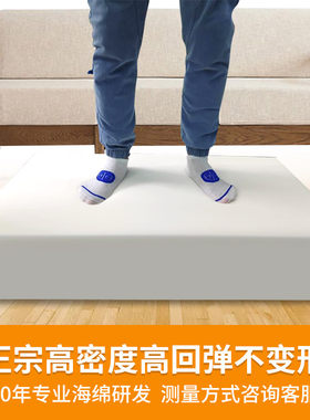 彬藏阁海绵组合沙发加硬久坐不塌